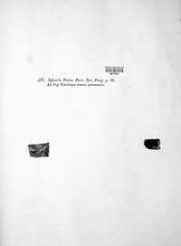 Hydropisphaera peziza image